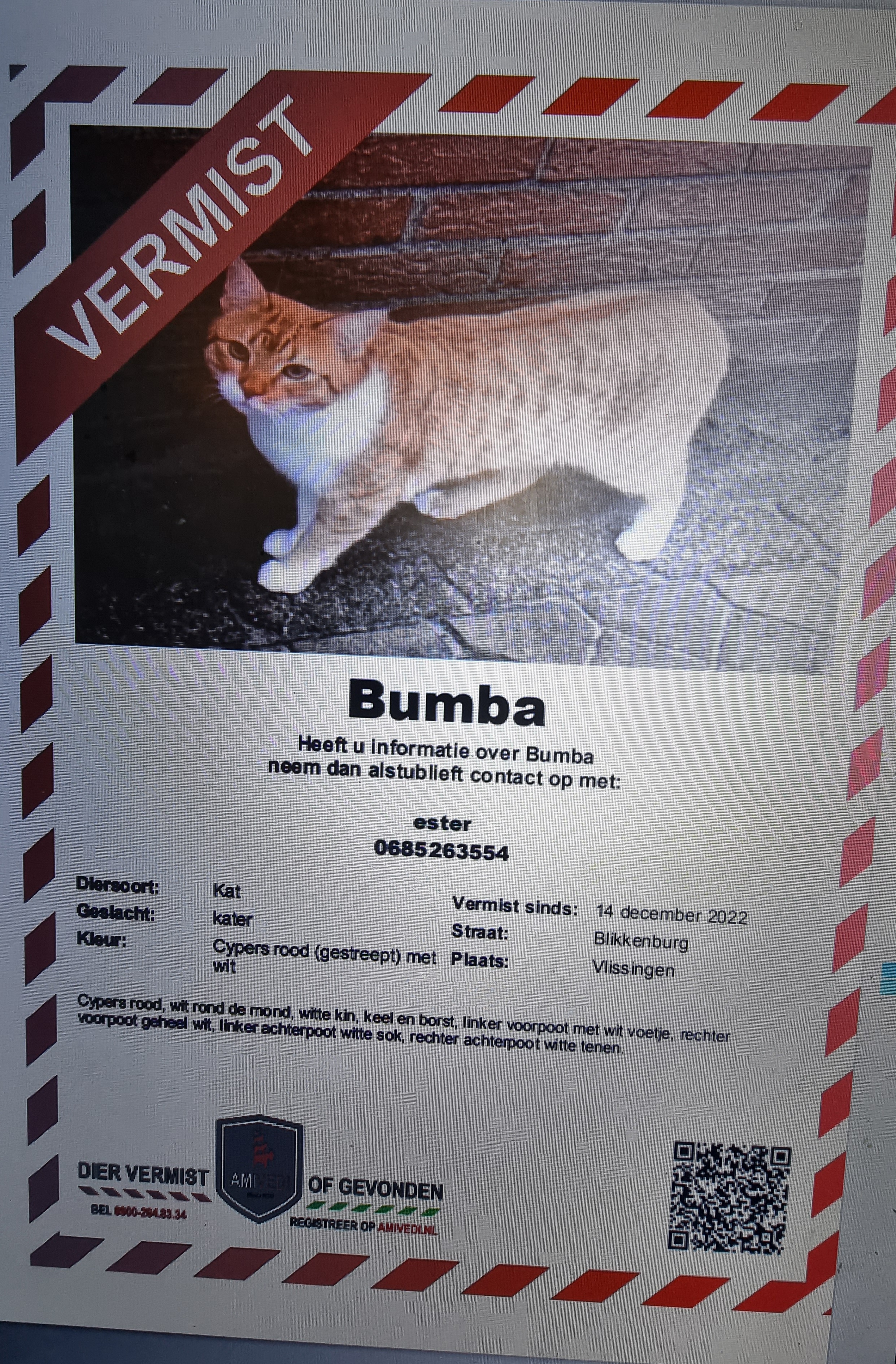 Bumba